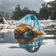 a-colorful-plastic-bag-floating in the water among other plastic waste